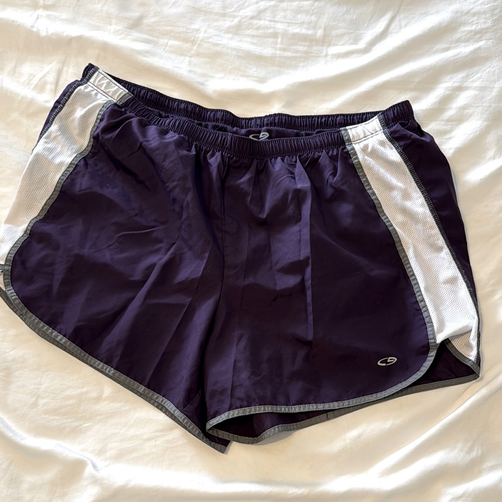 Champion Purple Athletic Shorts
